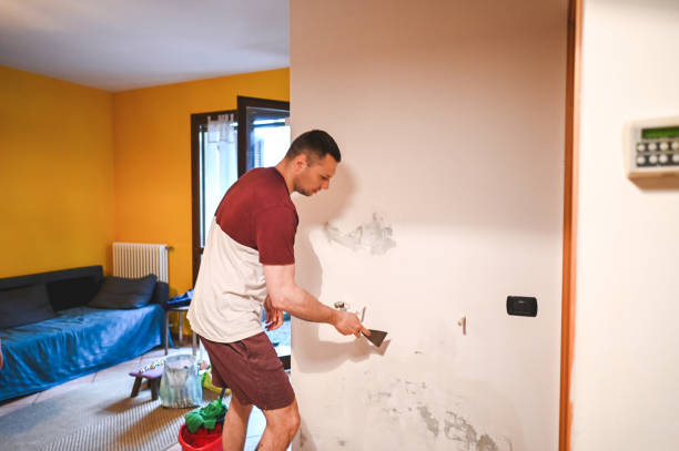 Best Black Mold Removal  in Lenoir, NC